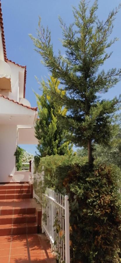 Ευχάριστη Βίλα Στη Χαλκίδα Στην Περιοχή "Αλυκές" المظهر الخارجي الصورة